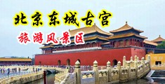操妇女胖B免费视频中国北京-东城古宫旅游风景区
